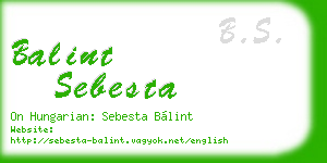 balint sebesta business card
