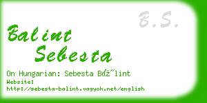 balint sebesta business card
